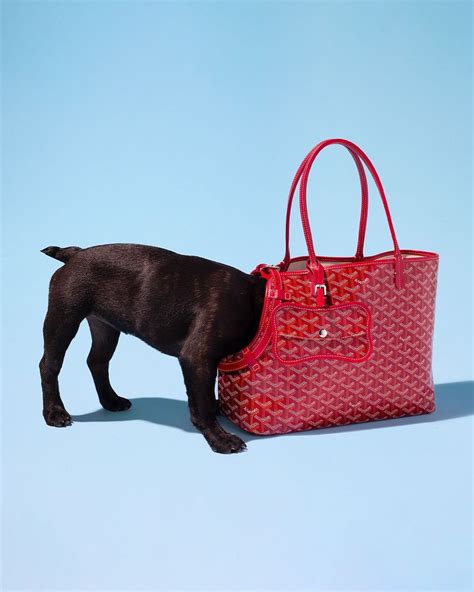 goyard since|goyard dogs.